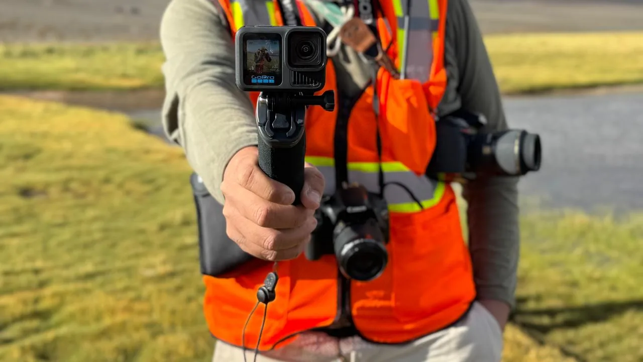 Relevamiento ambiental en zona de estudio - DLR Consultora