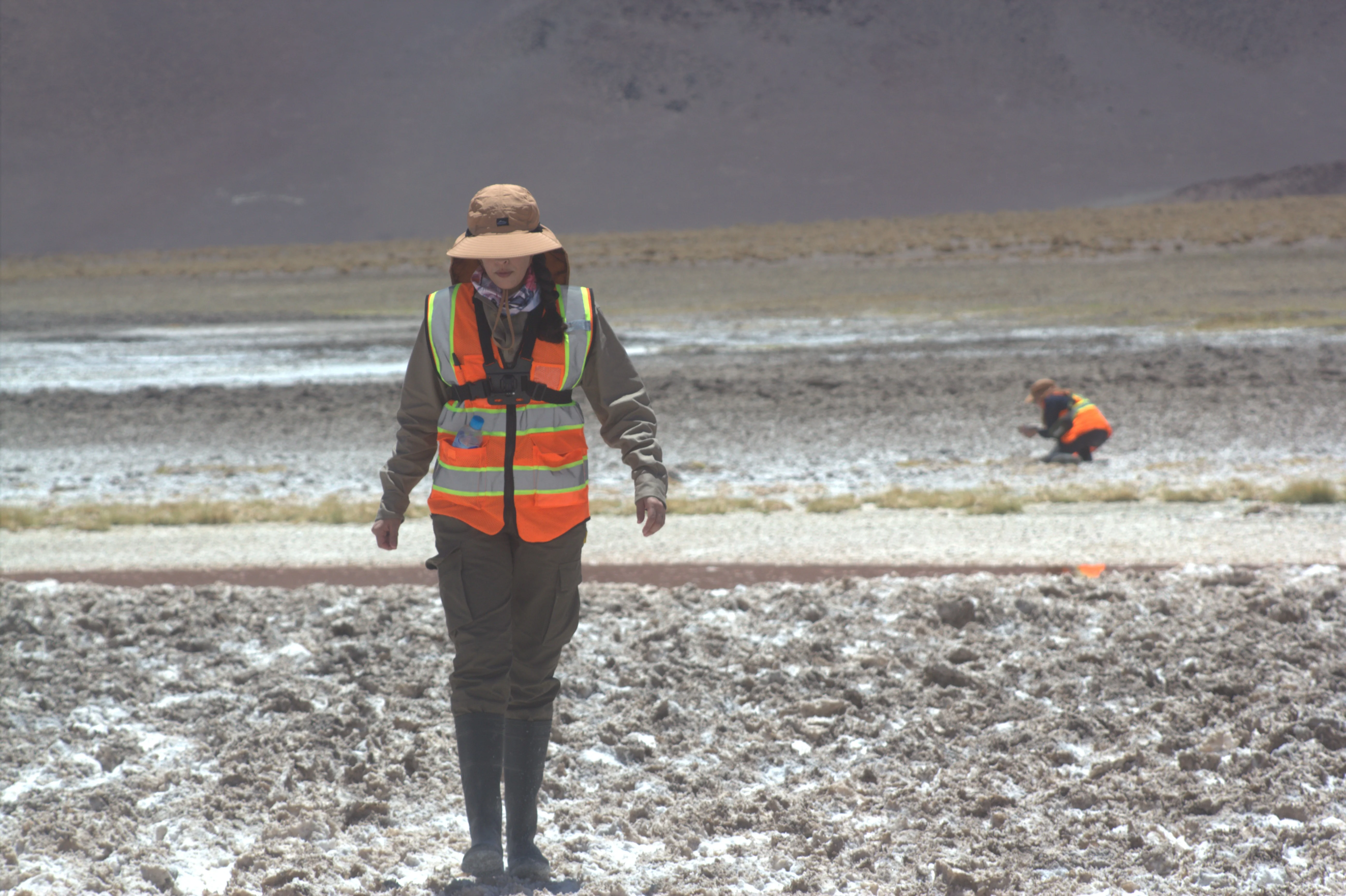 Trabajo en campo DLR